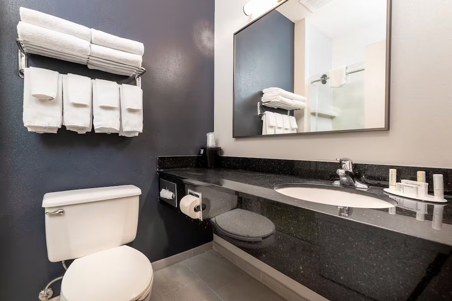 FairBridge Inn Suites Spearfish — Bathroom