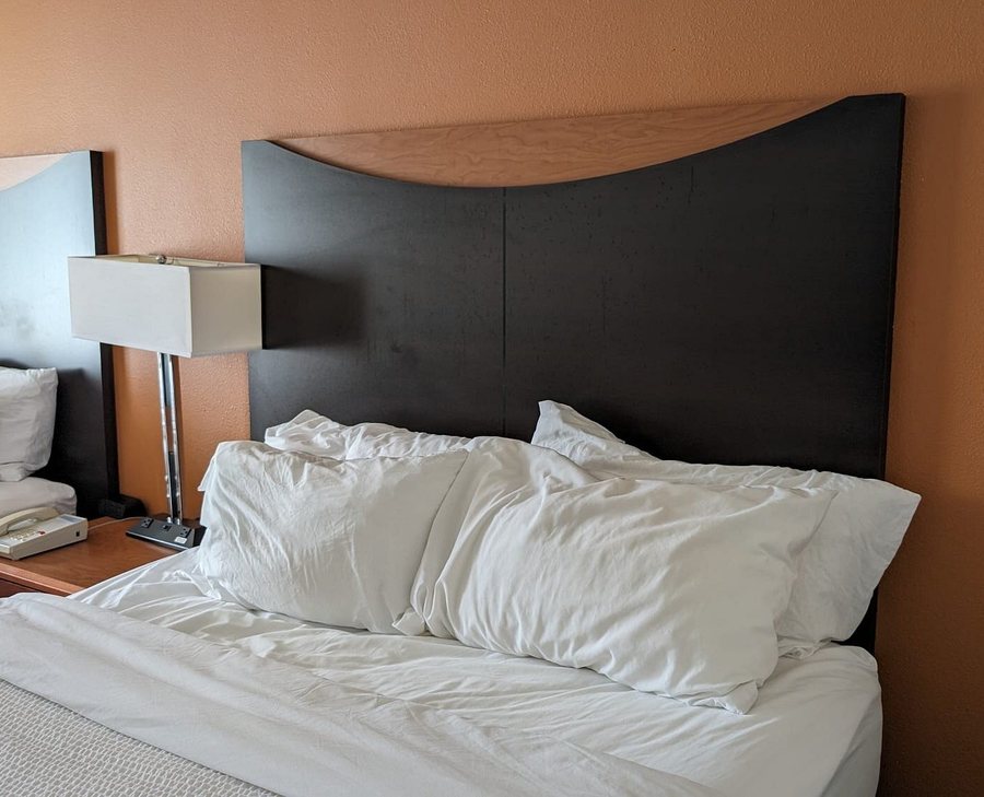 Fairfield by Marriott Inn Suites Billings — Guest room