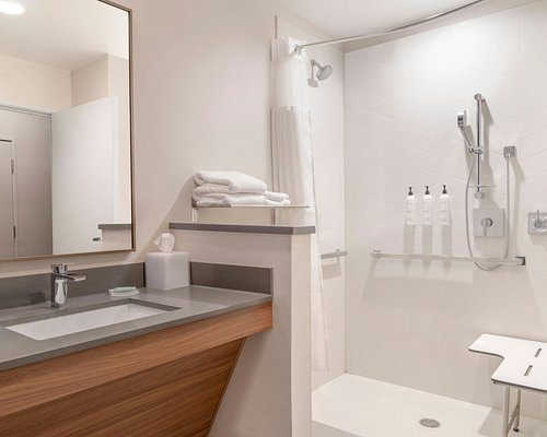 Fairfield by Marriott Inn Suites Detroit Troy — Bathroom