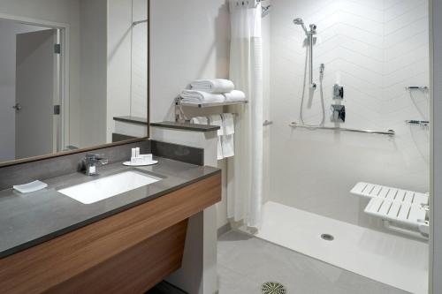 Fairfield Inn Suites by Marriott Athens — Bathroom