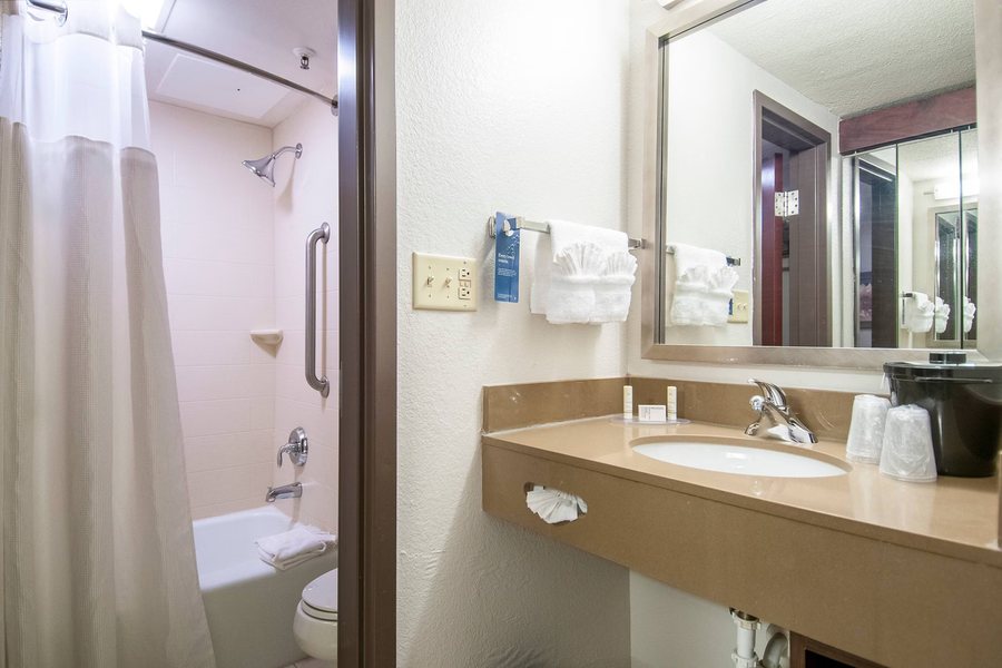 Fairfield Inn Suites Dallas Arlington South — Bathroom