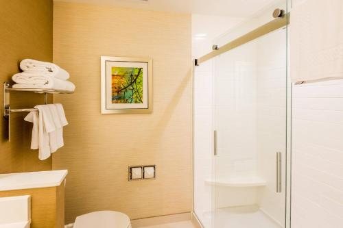 Fairfield Inn Suites Mobile Saraland — Bathroom
