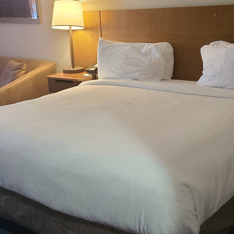Fairfield Inn Tallahassee North i 10 — Guest room