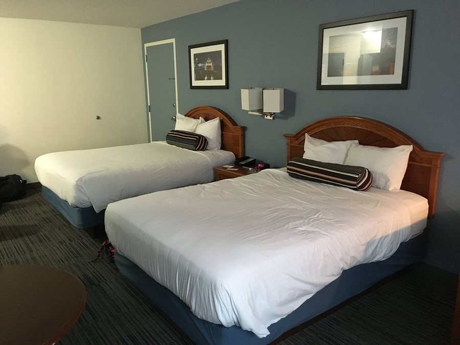 Federal City Inn Suites — Guest room