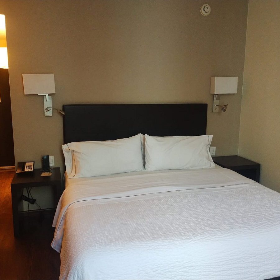 Fiesta Inn Centro Historico — Guest room