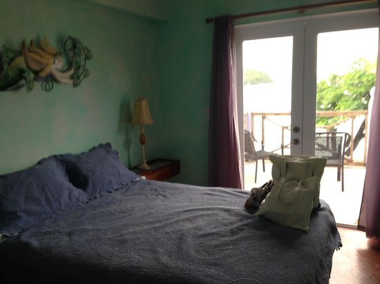 Flamboyan Guest House — Guest room