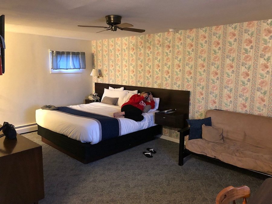 Forge Motel The — Guest room