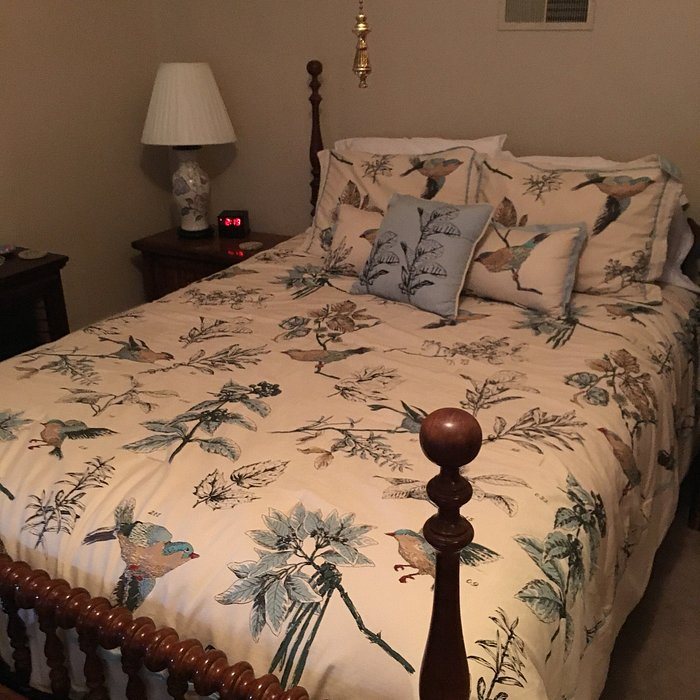 Forget me not Bed and Breakfast — Guest room