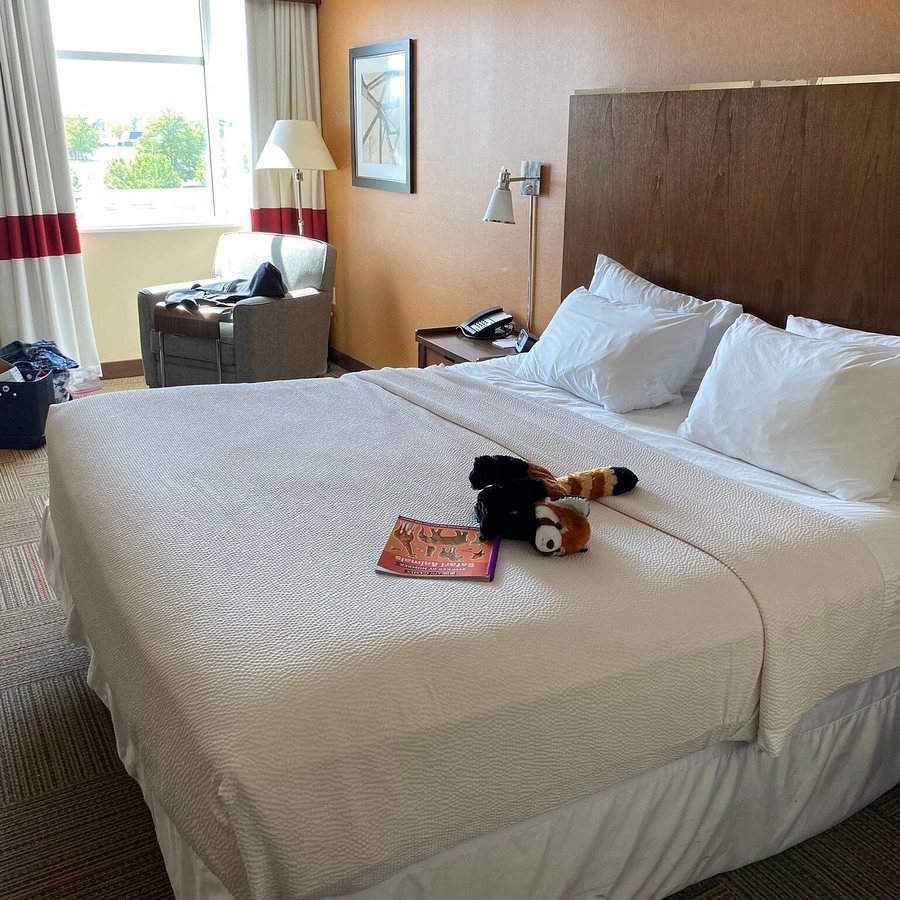 Four Points by Sheraton Saginaw — Guest room