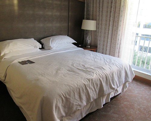 Four Points by Sheraton Suites Tampa Airport Westshore — Guest room