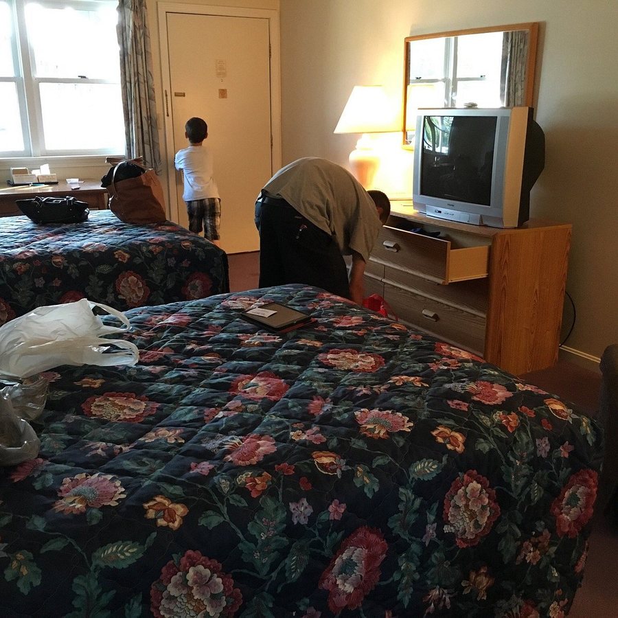 Four Seasons Motor Inn — Guest room
