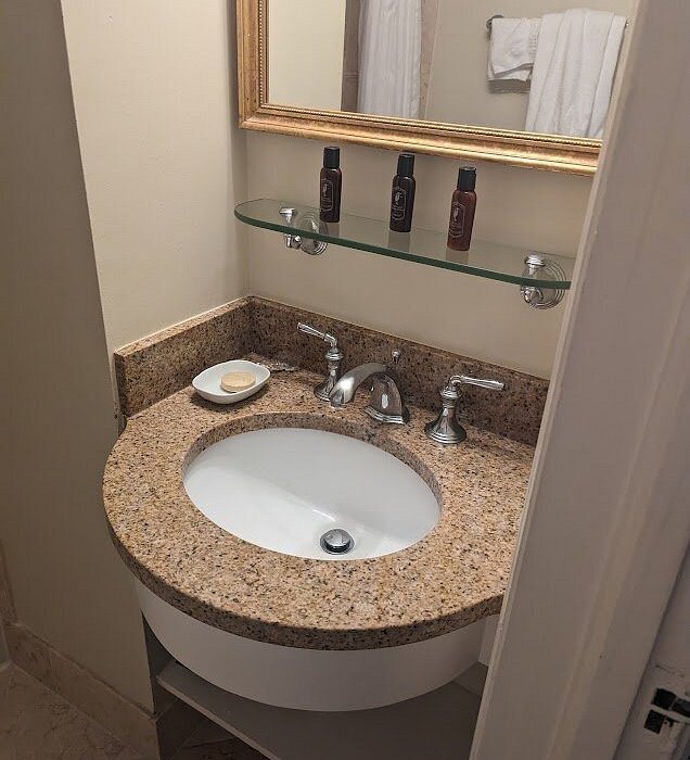 Francis Marion Hotel Charleston South Carolina — Bathroom