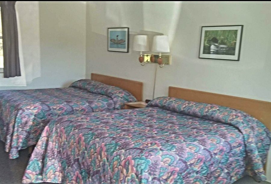 Gale River House Boutique Hotel — Guest room
