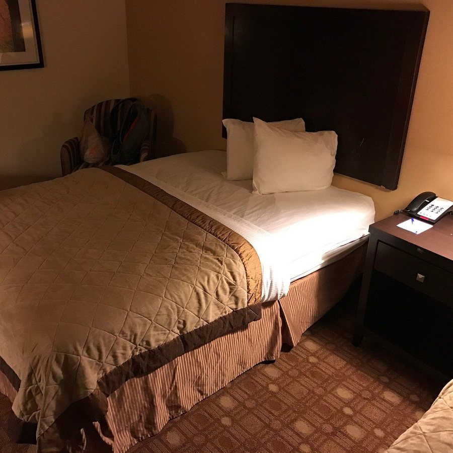 Garner Hotel Augusta West by IHG — Guest room