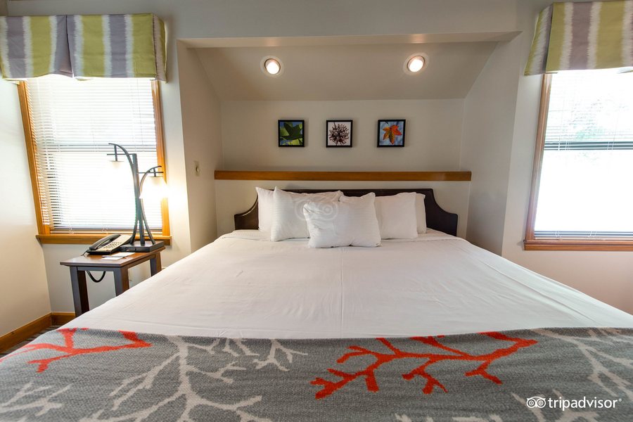 Gatlinburg Falls Resort — Guest room