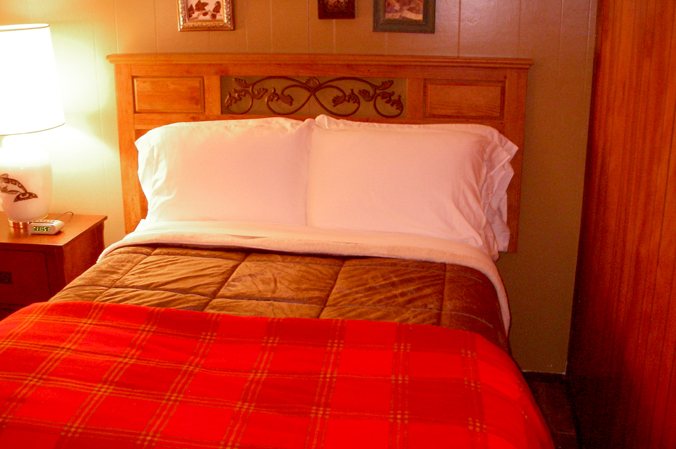 Glacier Bear Lodge — Guest room