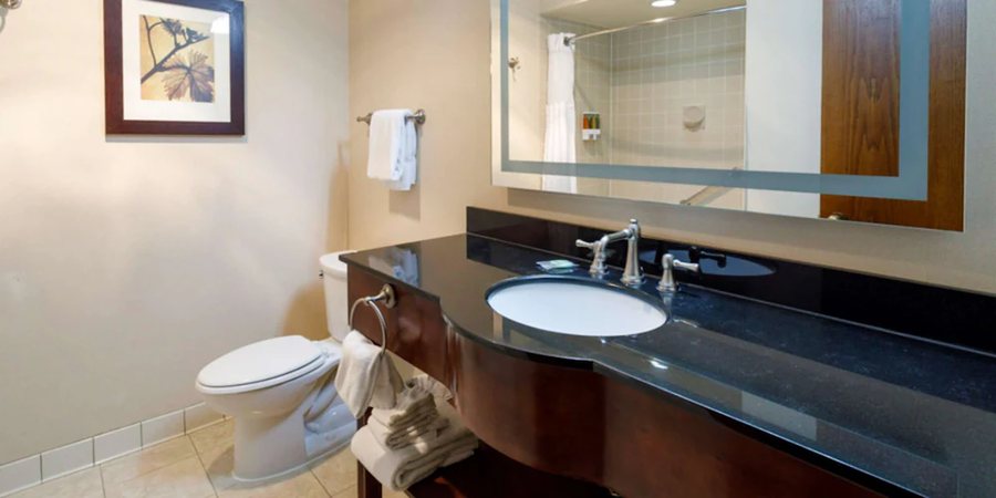 Gold Country Inn and Casino by Red Lion Hotels — Bathroom