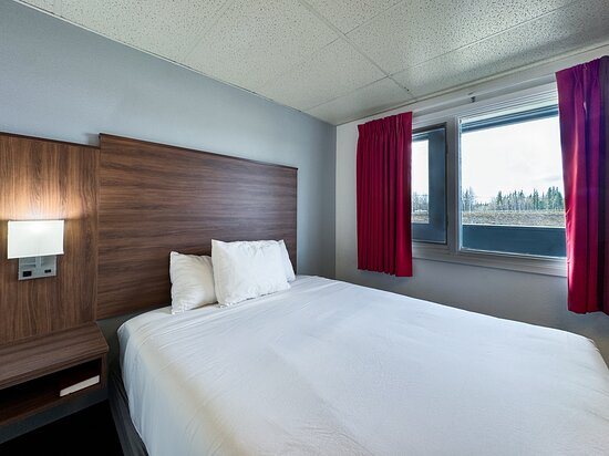 Golden North Inn — Guest room