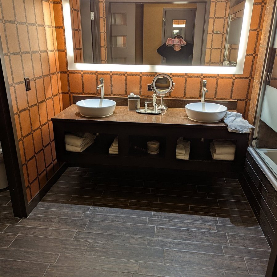 Golden Nugget Las Vegas — Bathroom