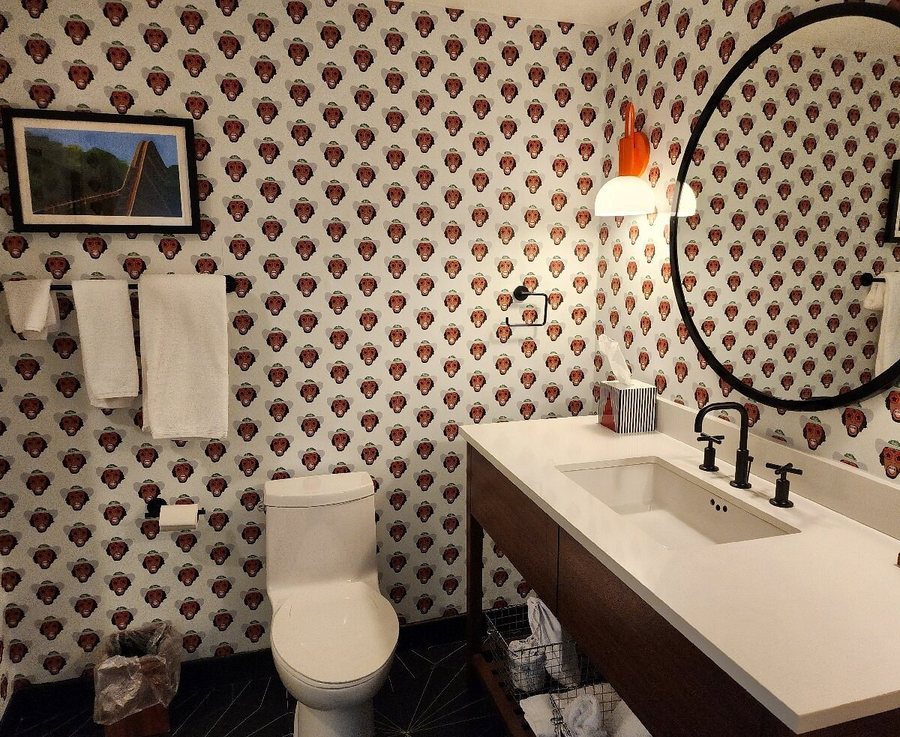 Graduate By Hilton Madison — Bathroom