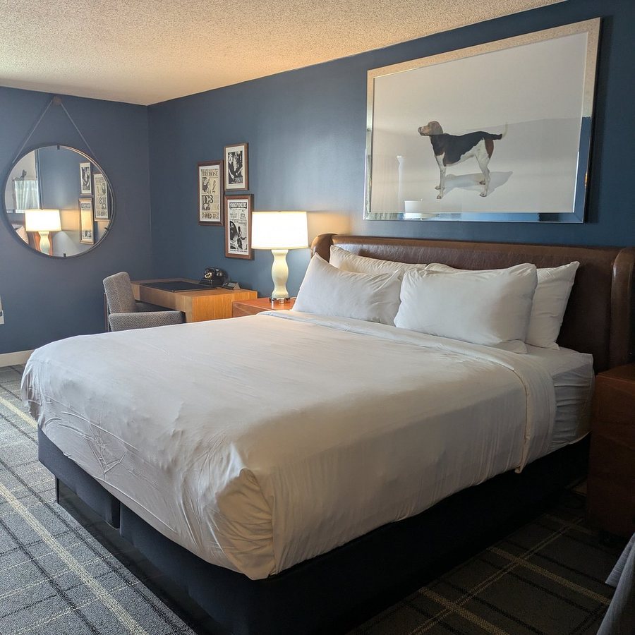 Graduate By Hilton Richmond Richmond Virginia — Guest room