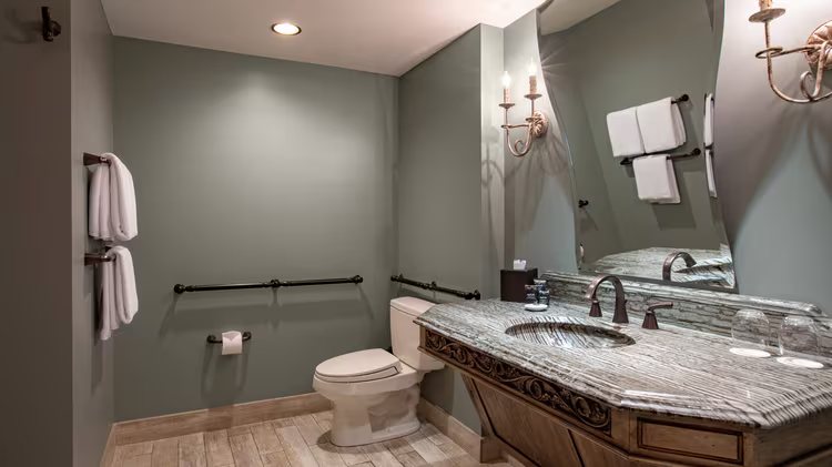 Grand Bohemian Lodge Asheville Autograph Collection — Bathroom