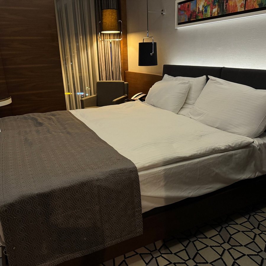 Grand Harilton Hotel Istanbul — Guest room