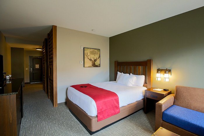 Great Wolf Lodge Chicago Gurnee — Guest room