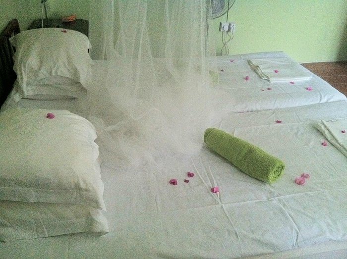 Green Roof Inn — Guest room