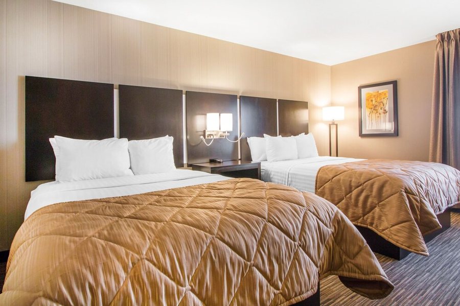Greenstay Hotel Suites — Guest room