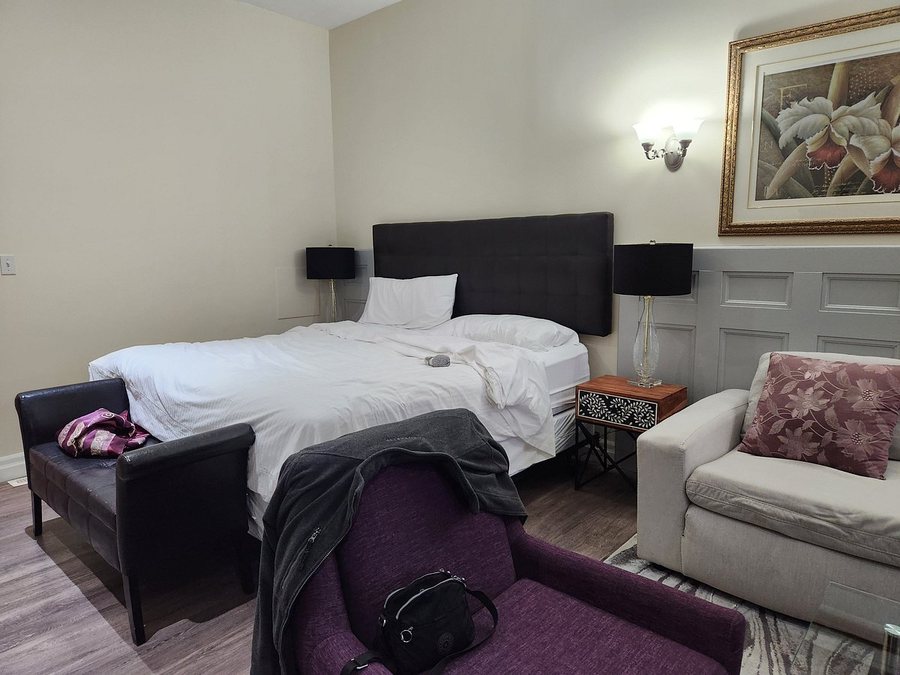 Grey Rose Suites — Guest room