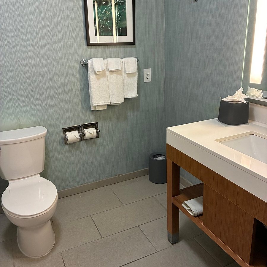 Hampton Inn And Suites Savannah airport — Bathroom