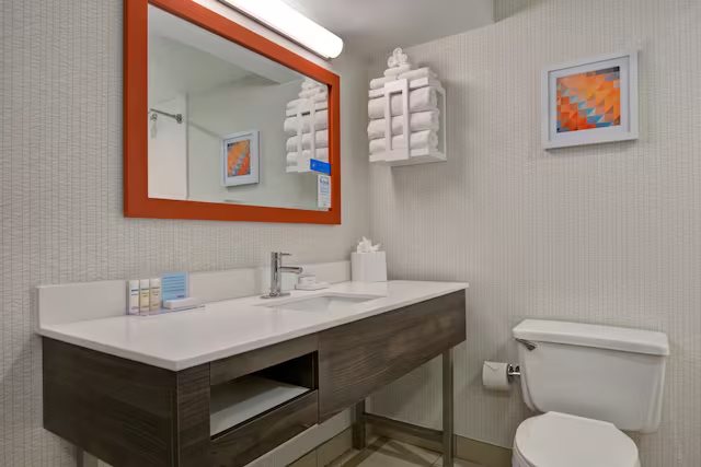 Hampton Inn Anderson Alliance Business Park — Bathroom