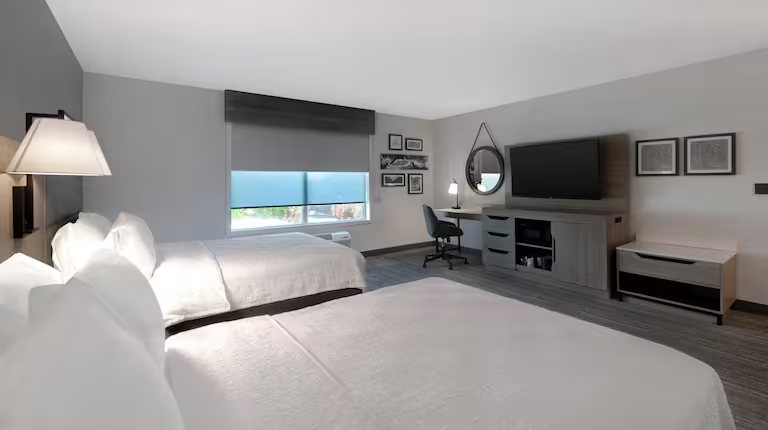 Hampton Inn Anderson Alliance Business Park — Guest room