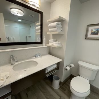 Hampton Inn Atlanta Perimeter Center — Bathroom