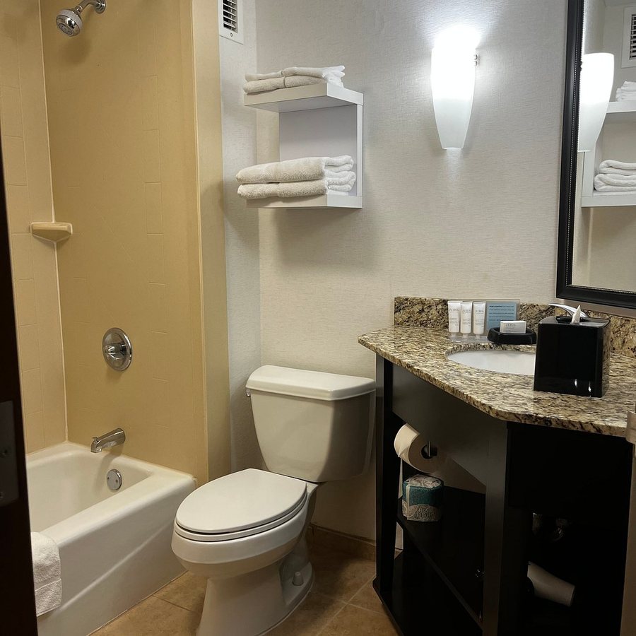 Hampton Inn Austin Round Rock — Bathroom