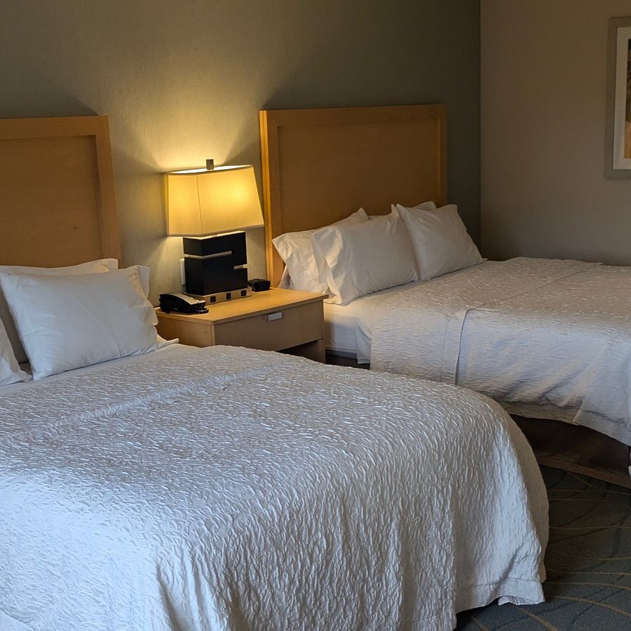 Hampton Inn Bar Harbor — Guest room