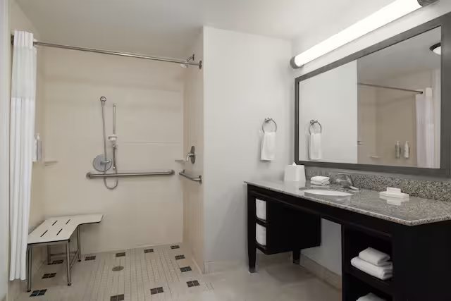 Hampton Inn Baton Rouge I 10 College Dr — Bathroom