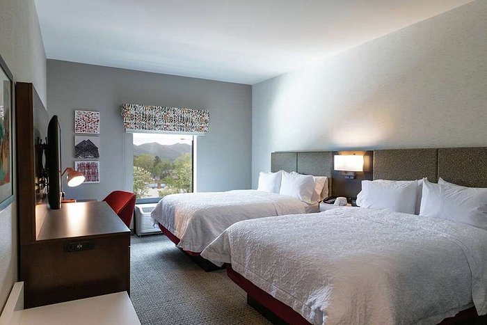 Hampton Inn Black Mountain — Guest room