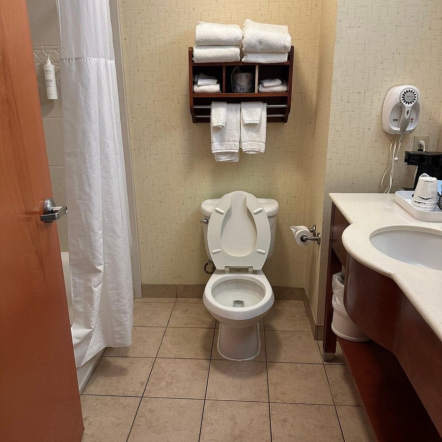 Hampton Inn Buffalo Amherst — Bathroom