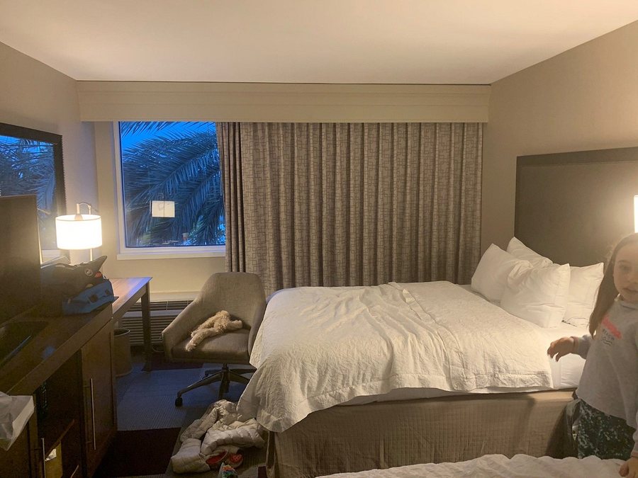 Hampton Inn By Hilton Coconut Grove Coral Gables Miami Miami Florida — Guest room