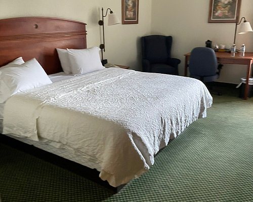 Hampton Inn Chester South — Guest room