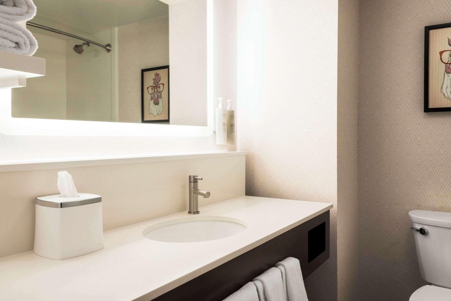 Hampton Inn Columbia Downtown Historic District — Bathroom
