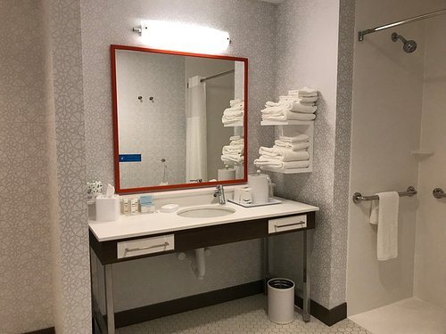 Hampton Inn Columbia I 20 clemson Road — Bathroom