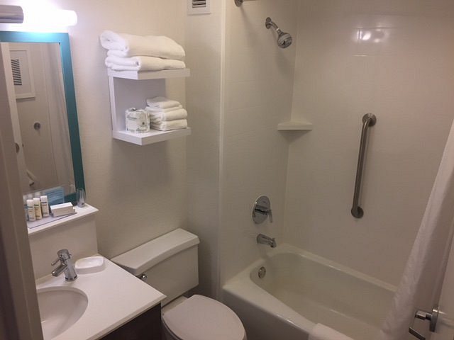 Hampton Inn Columbia I 26 Airport — Bathroom
