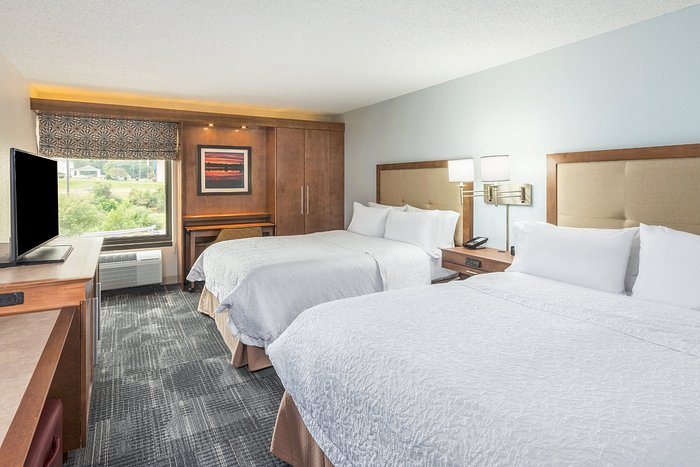 Hampton Inn Columbia I 26 Airport — Guest room