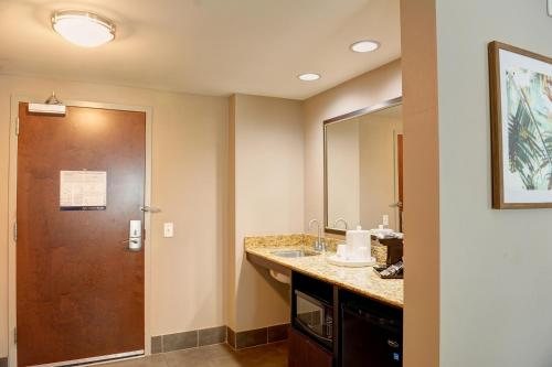 Hampton Inn Crystal River FL — Bathroom