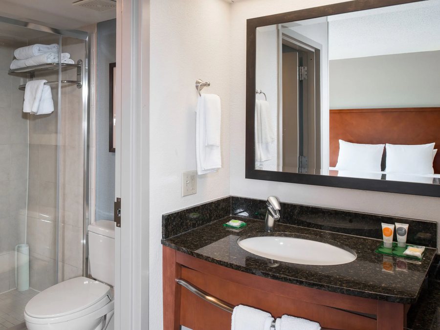Hampton Inn Dallas irving las Colinas — Bathroom