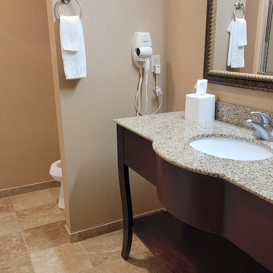 Hampton Inn Detroit Auburn Hills South — Bathroom