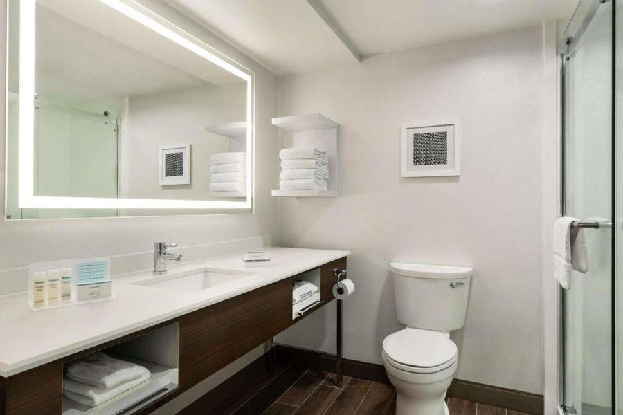 Hampton Inn Dulles cascades — Bathroom